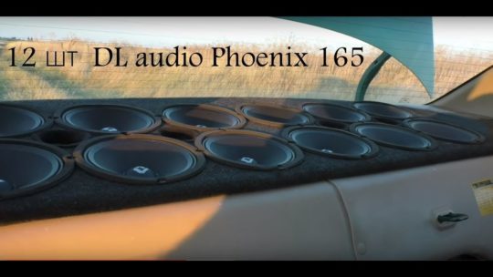12 шт DL audio Phoenix 165 в полке (эксперимент)