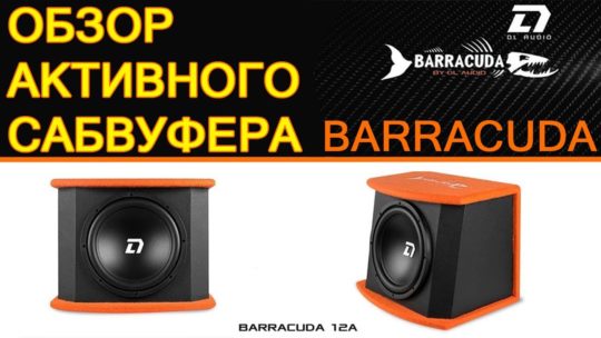 |CarAudioCenter| Обзор Активного Cабвуфера DL Audio — Barracuda 12A