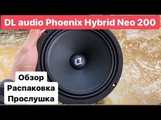 Обзор, распаковка, прослушка DL Audio Hybrid Neo 200