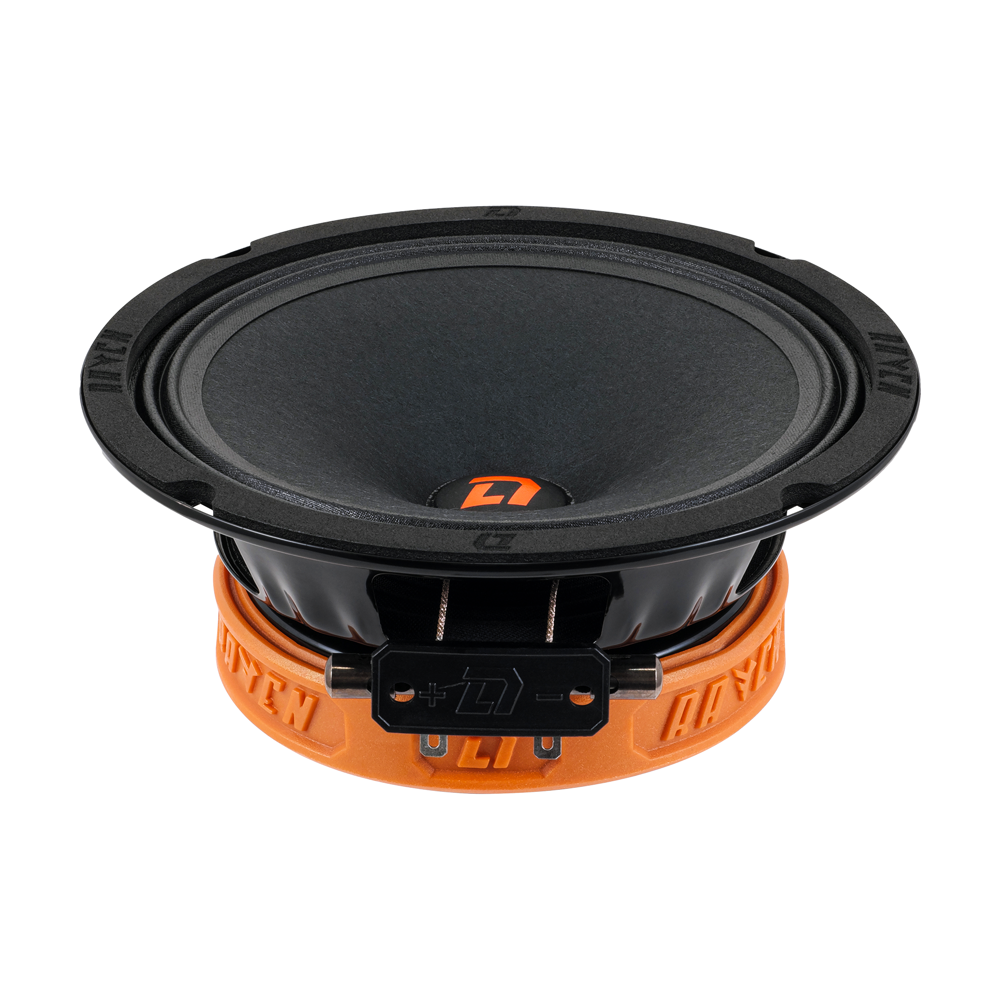 Эстрадная акустика DL Audio ™ Raven 165 V.2 мм