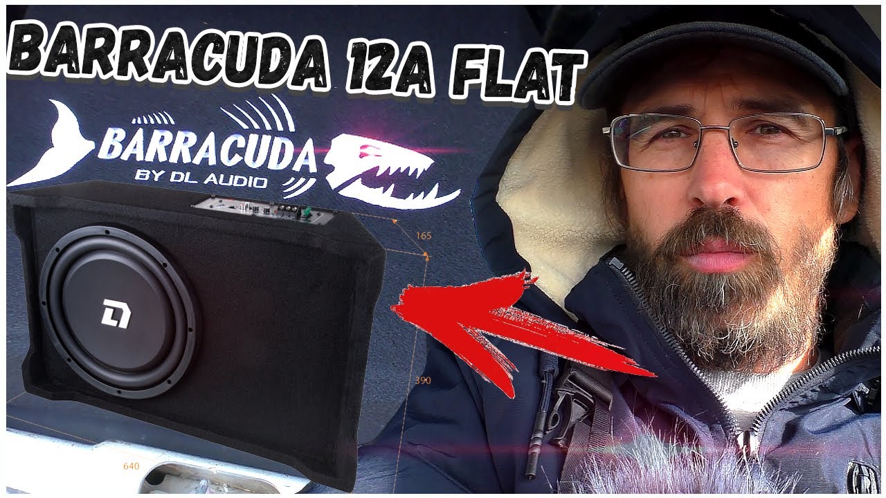 Barracuda flat. DL Audio Barracuda 12a Flat. Сабвуфер DL Audio Barracuda 12a Flat. Сабвуфер DL Audio Barracuda 8 Flat. Сабвуфер Барракуда 12 а размер.