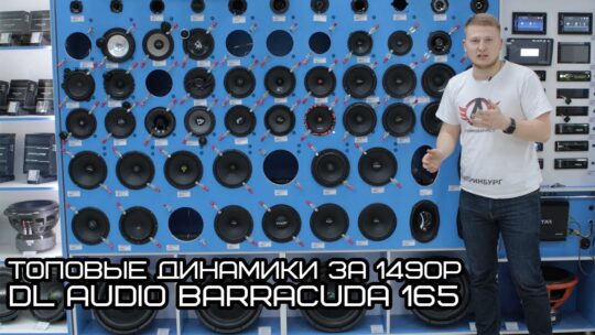 Топовые динамики за 1490₽ / DL Audio Barracuda 165