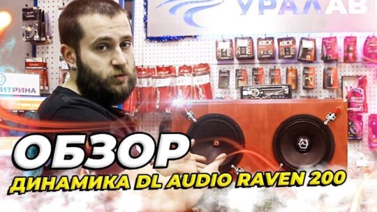 DL Audio Raven 200. Громкий эстрадный звук динамика за 4490р. Обзор и прослушка.