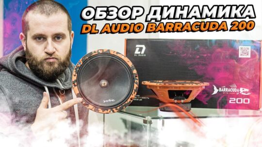 DL Audio Barracuda 200. Бюджетная новинка! Обзор и прослушка динамика