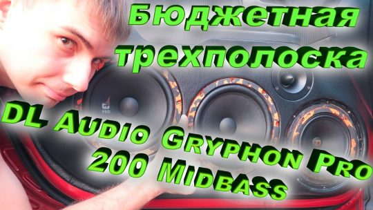 DL Audio Gryphon Pro 200 Midbass — правда ли эстрадный мидбас? [бюджетная трехполоска]