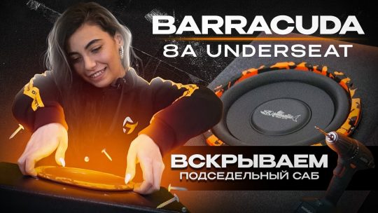 Обзор на сабвуфер DL Audio Barracuda Underseat 8A