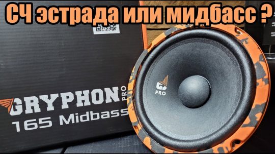 Громко и с басом — DL Audio Gryphon Pro 165 MidBass