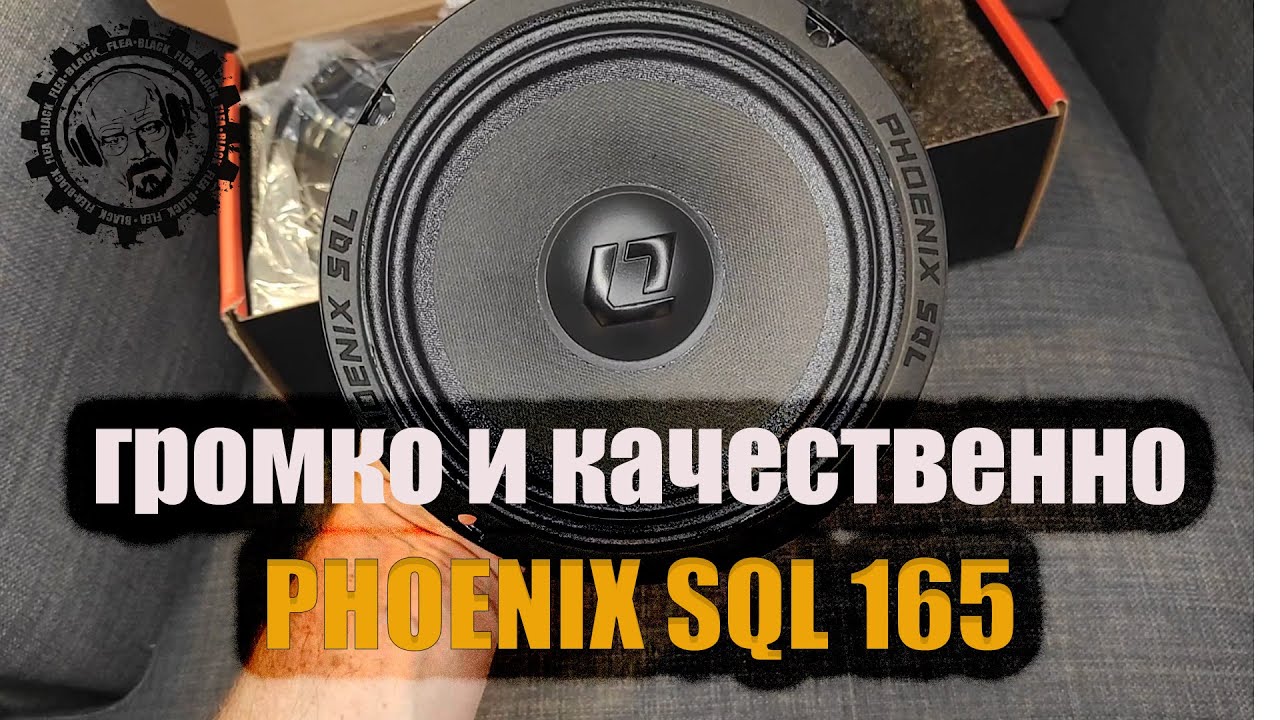 Dl phoenix sql 165. DL Audio Phoenix SQL 165. Феникс SQL 165. DL Audio SQL 165. Sql165.