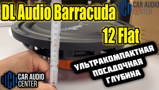 DL AUDIO BARRACUDA 12 FLAT