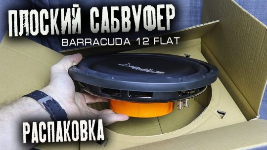 Плоский сабвуфер в машину DL Audio Barracuda 12 Flat | Распаковка