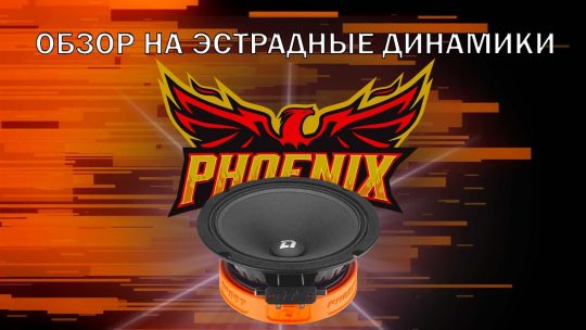 Обзор и прослушка DL Audio Phoenix Sport 165 | Сравниваем с SOLO NEO