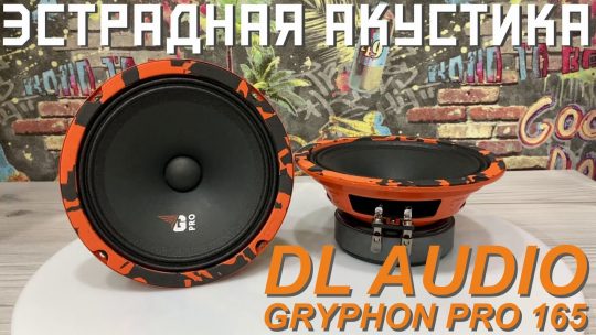Краткий обзор эстрадной акустики DL Audio Gryphon Pro 165