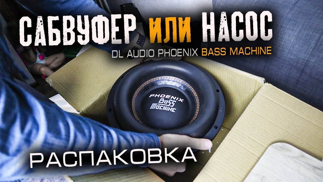 Феникс басс. Сабвуфер DL Audio Phoenix Bass Machine 18. Phoenix Bass Machine 12. Сабвуфер Phoenix 15. Овальный сабвуфер DL Audio.