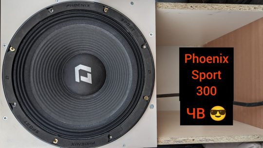 Phoenix sport 300 в ЧВ 12д эстрадный сабвуфер DL Audio валит на все 250 wt 😎