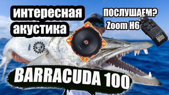 Barracuda 100! Новинка! Ушатает твою Штатку))