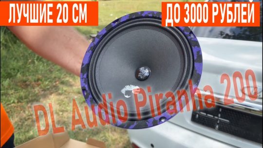 Лучшая 20 см эстрада до 3000 рублей! DL Audio Piranha 200