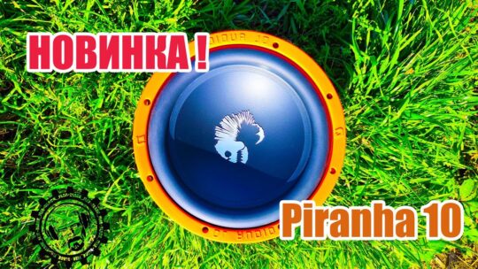 НОВИНКА! Бюджетный но Бодрый Сабвуферный динамик Piranha 10! От Dl Audio!