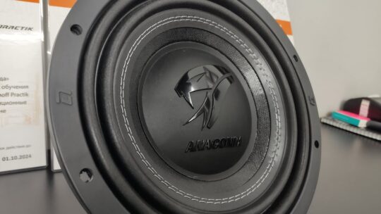 DL Audio Anaconda 10″ новинка!!! сабвуфер с SQ уклоном