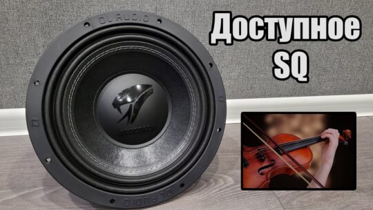 Оглохнуть от скрипки в 6 ряду, легко! — DL Audio Anaconda 12