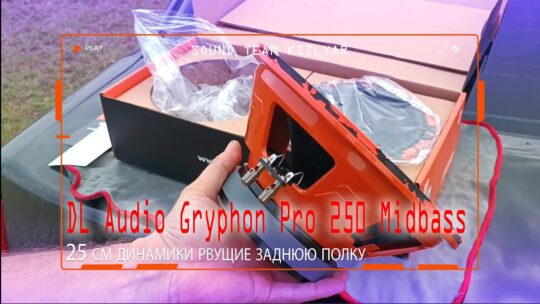 25 см динамики рвущие заднюю полку! DL Audio Gryphon Pro 250 Midbass